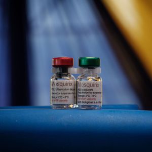The RTS.S malaria vaccine